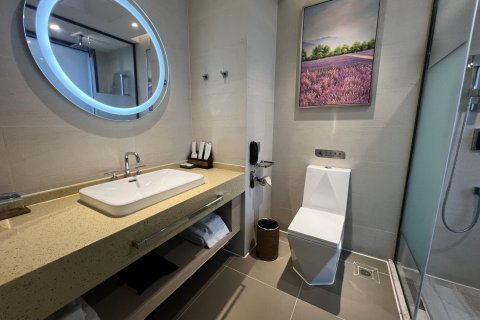 麗枫酒店(日照苏宁广场东港区政府店)