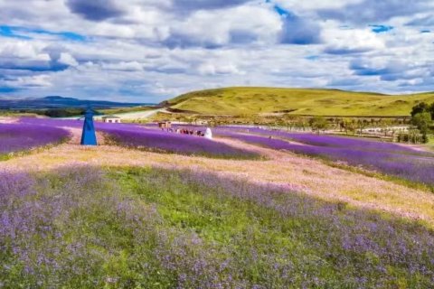 秋果酒店(乌兰察布集宁古城集宁国际皮革城店)