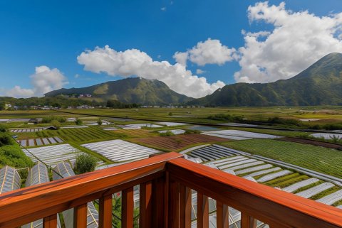Teras稻田宾馆Syariah(Teras Sawah Guest House Syariah)