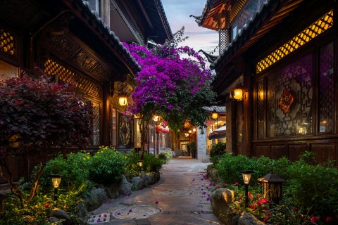 丽江古城·山水爱斯花园酒店(四方街店)