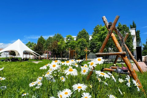 特克斯巢居民宿(八卦城店)