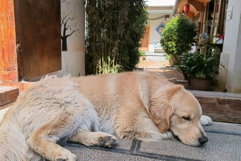 丽江山地探险国际青年旅社