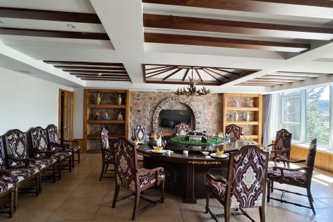 长白山天沐戴斯温泉酒店