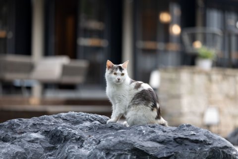 杭州西溪花间堂