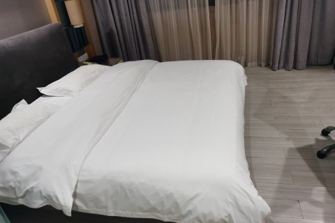 雅诗特酒店(崇阳客运站浪口温泉店)