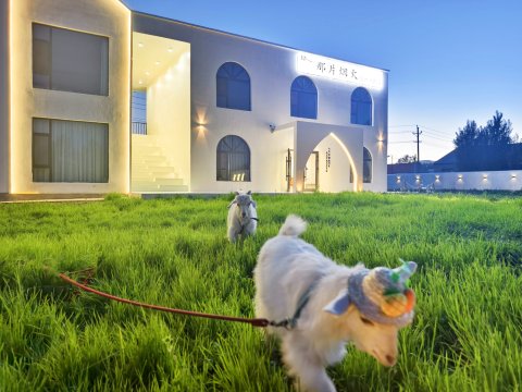 昭苏那片烟火设计师民宿