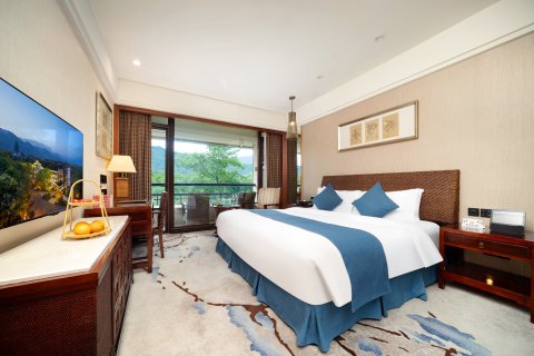 都江堰青源国际大酒店