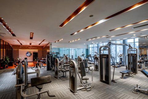 贵阳铂尔曼大酒店(甲秀楼鸿通城购物中心店)