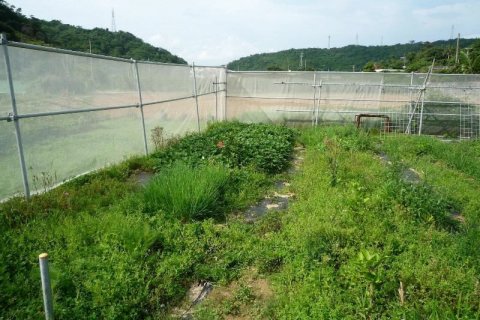 彩之庄酒店(Ayanosho)