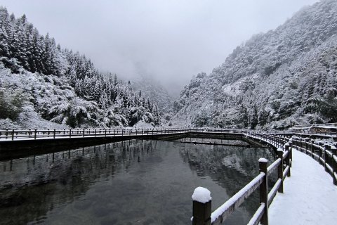 雅安荥经水墨花溪温泉谷民宿