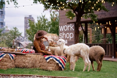 成都麓山安珀酒店