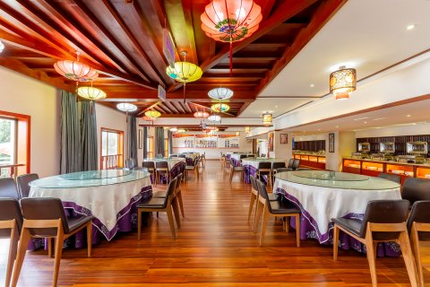 林芝天宇藏秘主题酒店