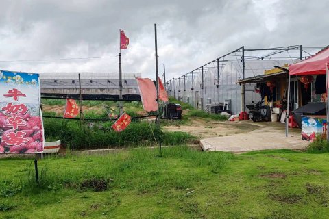 海间小筑海景民宿(洛伽寺店)