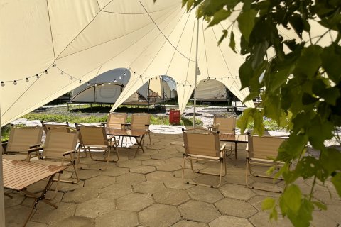 唐布拉蜜栈星空露营地