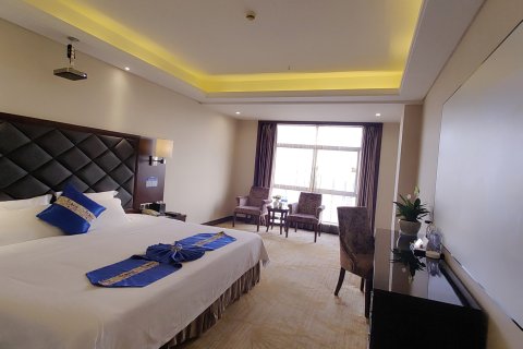 常德新亚柳叶国际大酒店( 武陵阁步行街店 )