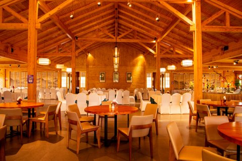 弥勒太平湖森林木屋酒店