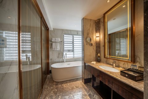 龙阳国际大酒店(汉寿万达广场店)