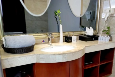 河池东正国际大酒店