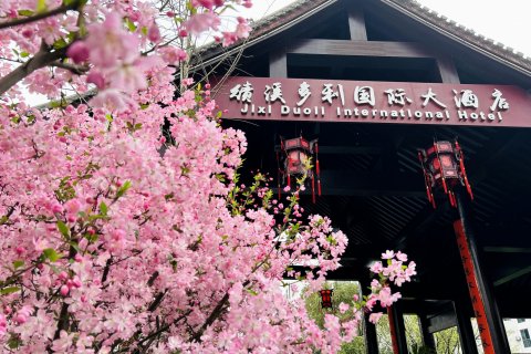 绩溪多利国际大酒店