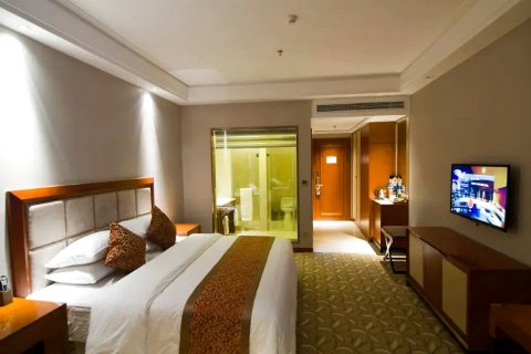 望江国际大酒店