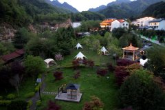 镇安木王杜鹃山庄