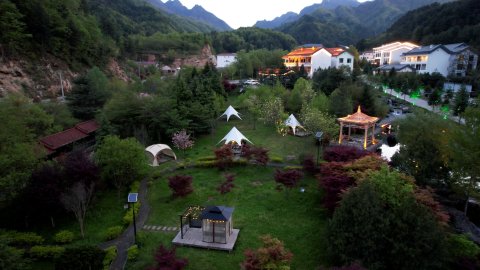 镇安木王杜鹃山庄