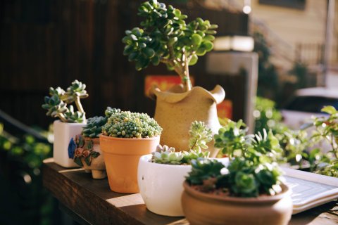 青岛隐栖山居民宿(中山公园广饶路地铁站店)