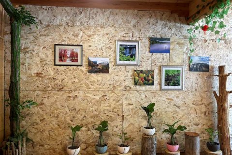 五营国家森林公园森林浴度假山庄