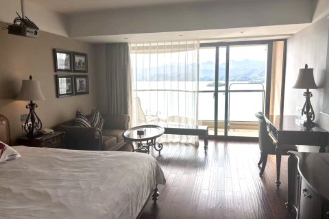 千岛湖丽景度假酒店(中心湖区店)