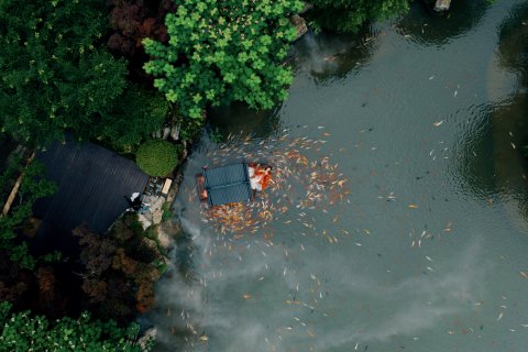 葛仙村度假区思源居亲子酒店