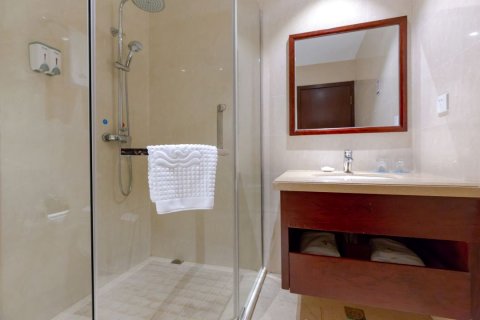 文成鑫悦大酒店