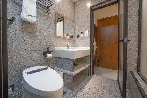 山之野.私汤.温泉民宿(海螺沟冰川森林公园店)