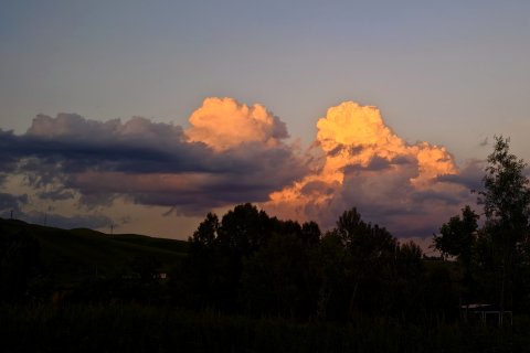 尼勒克天山黑蜂庄园生态酒店