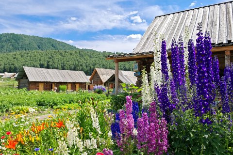 归来村舍(禾木风景区禾木桥店)