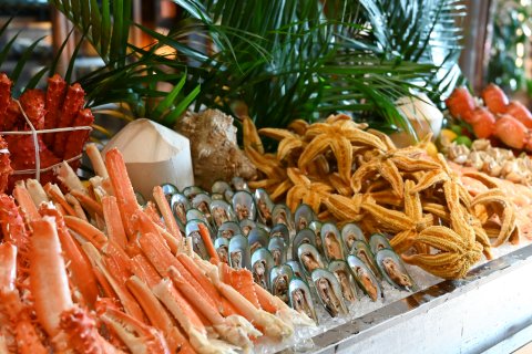 上海朱家角皇家郁金香花园酒店