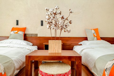 翠花民宿(漠河北红村店)