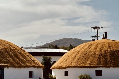 QING舍·瑰秀里民宿