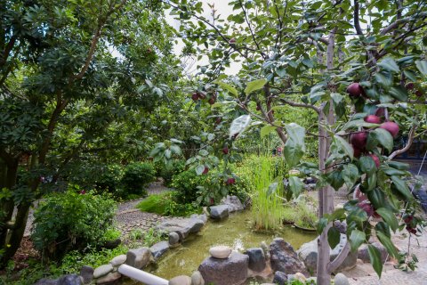 鸡足山远方的家民宿