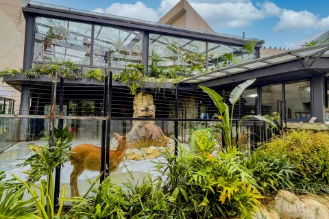 恐龙人俱乐部酒店(常州中华恐龙园官方店)