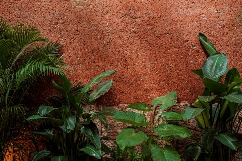 丽江束河古溪庭院客栈