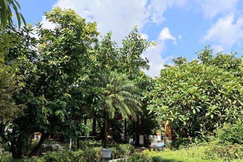 清远新银盏温泉度假村