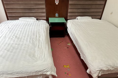 泽宸宾馆(解放东路店)