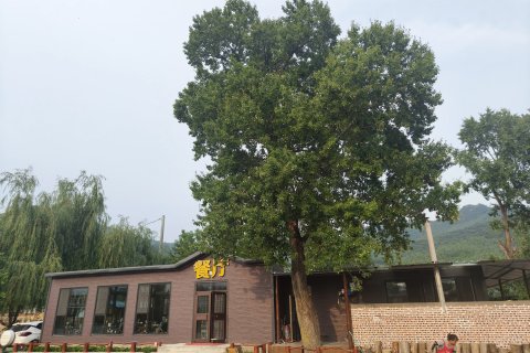 本溪县老边沟紫旭农庄