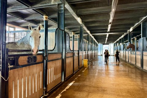 乌鲁木齐野马丝路驿站文化主题沙龙