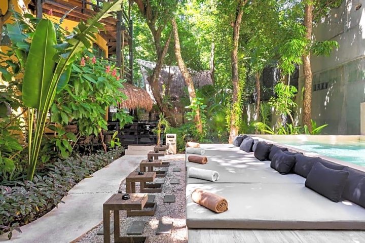 特拉苏里维埃拉玛雅酒店&水疗中心，位于斯卡雷特(Terasu Riviera Maya Hotel & Spa, en Xcaret)