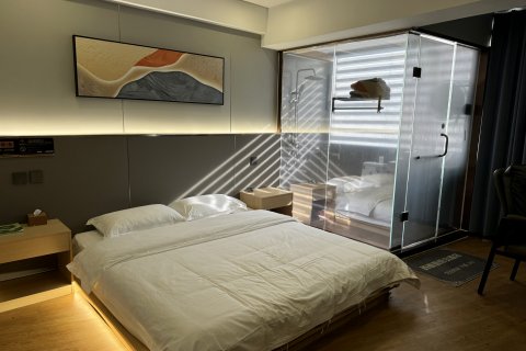 鹤壁西雅图假日酒店(火车站店)