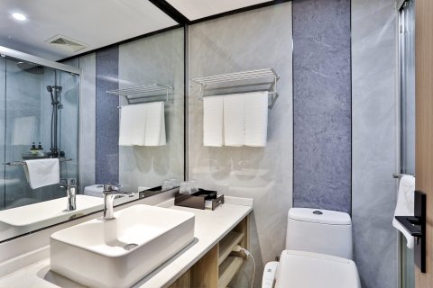 杭州西湖湖滨河坊街丽正门酒店