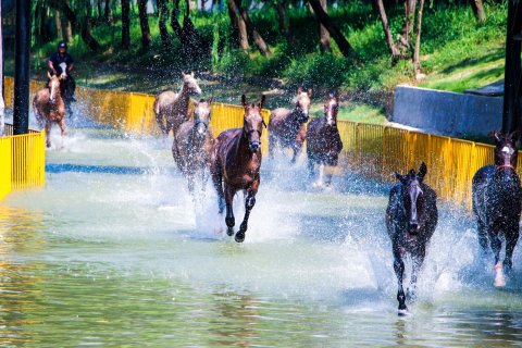 安吉中南度假酒店