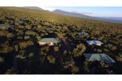 恩戈罗恩戈罗野营豪华帐篷(Ngorongoro Wild Camp)