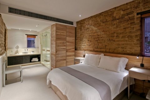 阳朔喜岳·云庐